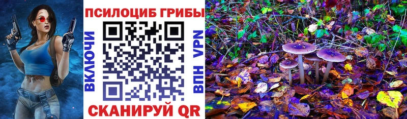 Псилоцибиновые грибы GOLDEN TEACHER Нижнеудинск